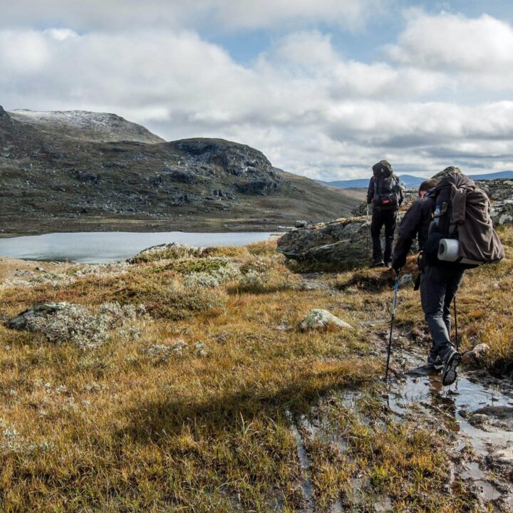 Trekking